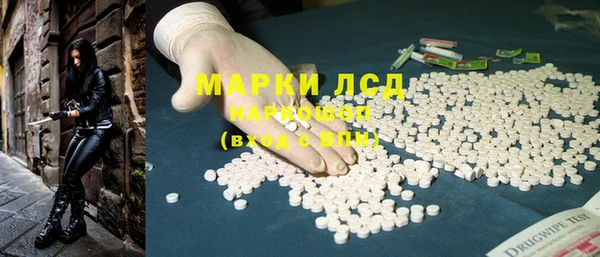 стаф Магадан