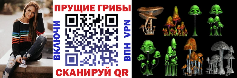 нарко площадка состав  Электроугли  Галлюциногенные грибы Cubensis  даркнет сайт 