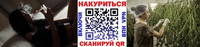 Канабис ГИДРОПОН гидра маркетплейс Электроугли